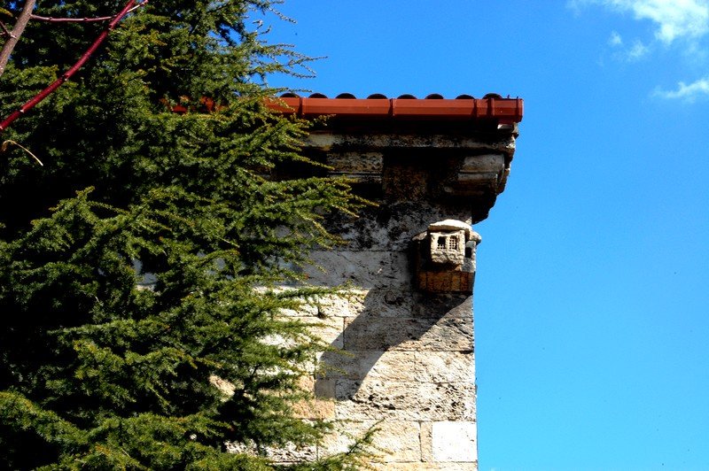 Tokat Ulu Cami kuşevi