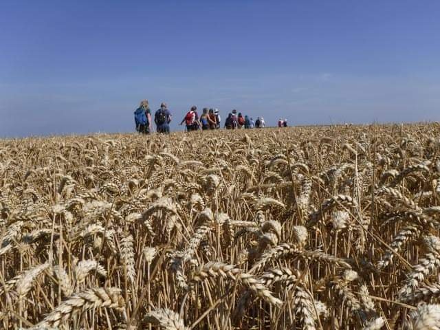 The Kindling Trust tweet media