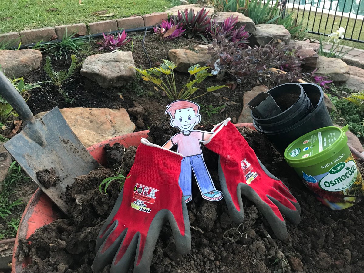 Toni Mitchell tweet media