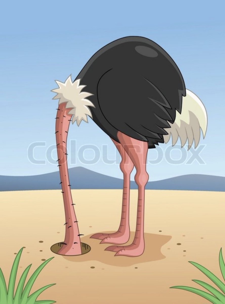 I am an Ostrich lifeaccording2kris.wordpress.com/2019/07/26/i-a…