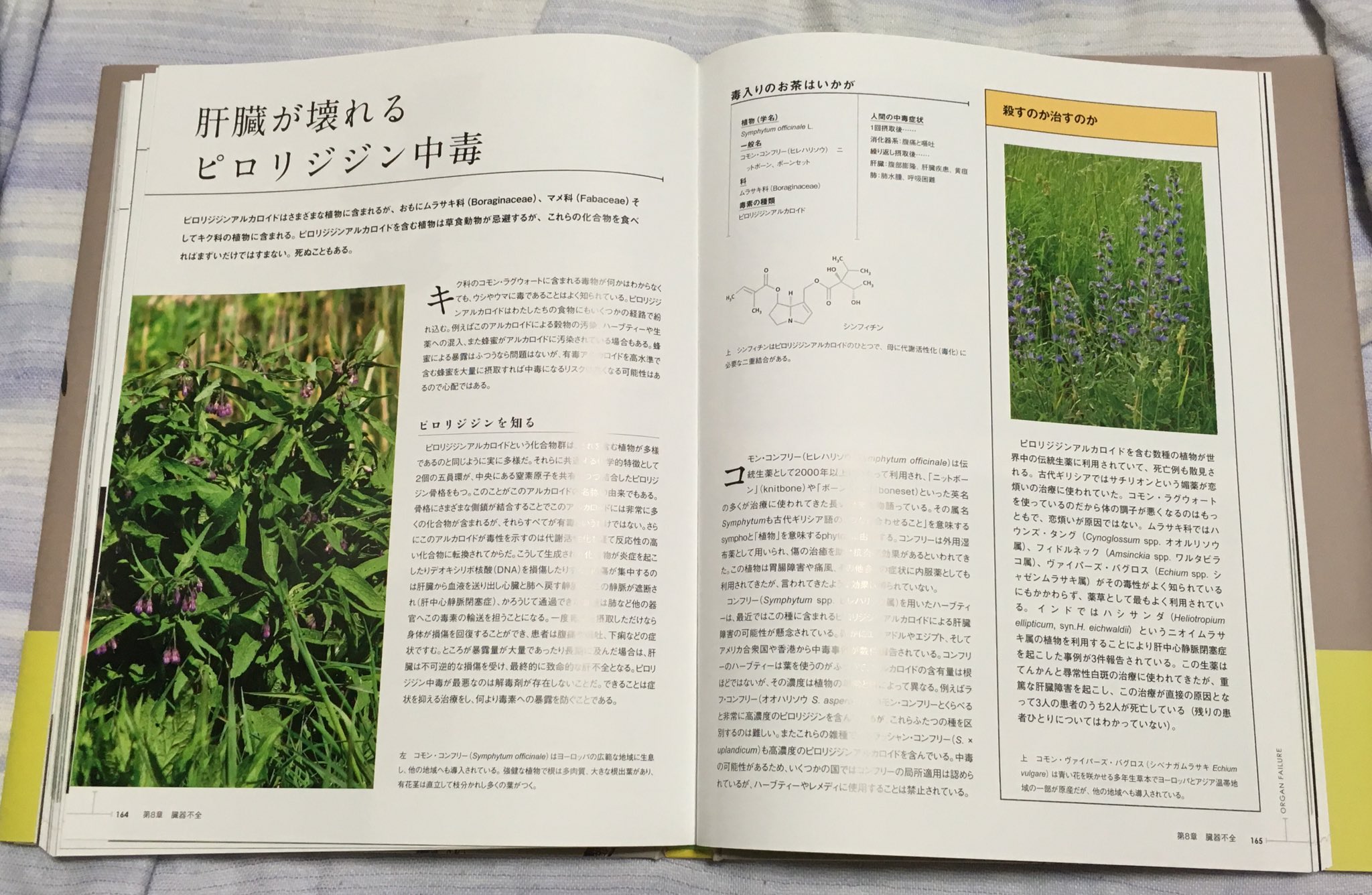 ストラ Sbjf24 世界毒草百科図鑑 です 繋げてある最初のツイートに表紙も付けてありますので参考までに とても素晴らしい内容でした Twitter