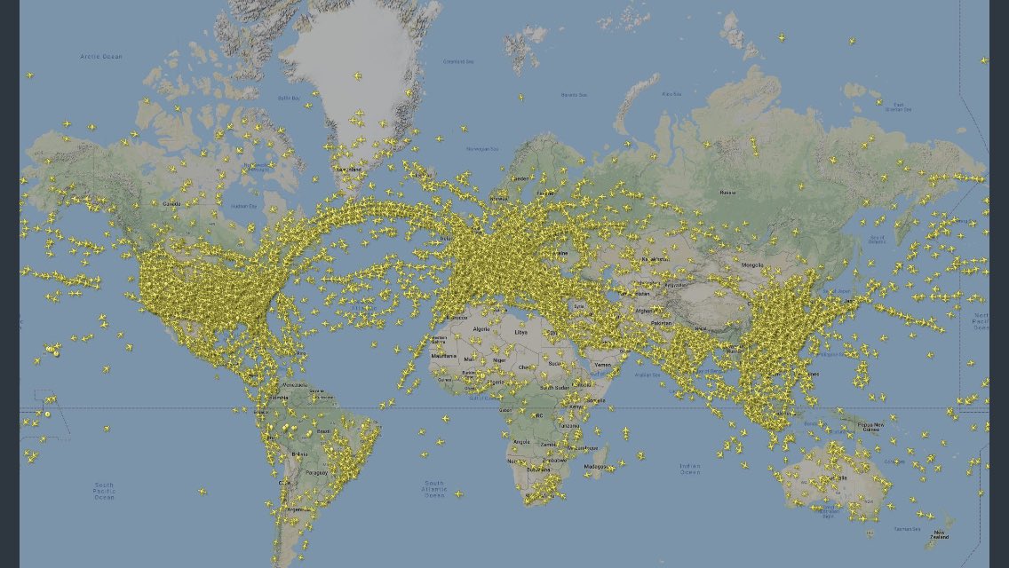 225k flights recorded in the sky on 24th July,highest ever.Get that suckler cow out of there quick....She’s the reason for our problems with climate change...we think... depending on what report you use....sorry, correct that, she’s the easiest reason...right???.....#easytarget
