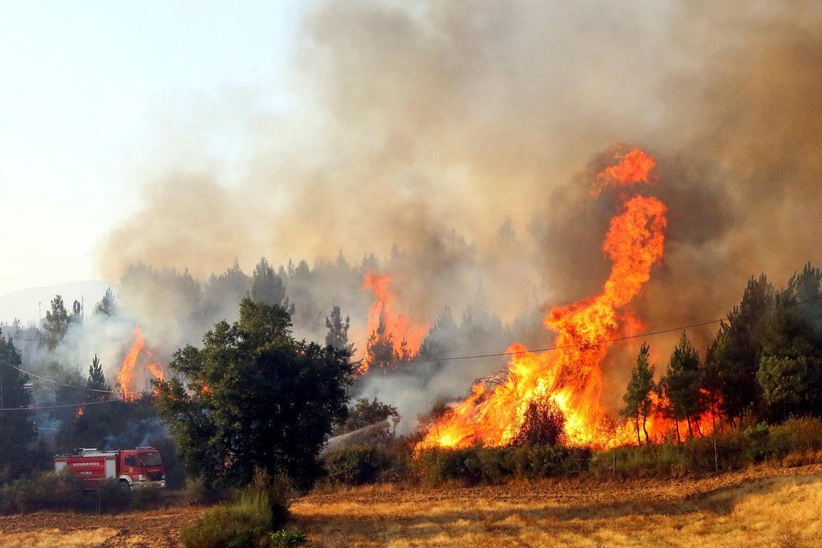 ¿Cómo actúa la Unión Europea para combatir los #incendios forestales? efeverde.com/noticias/union…
