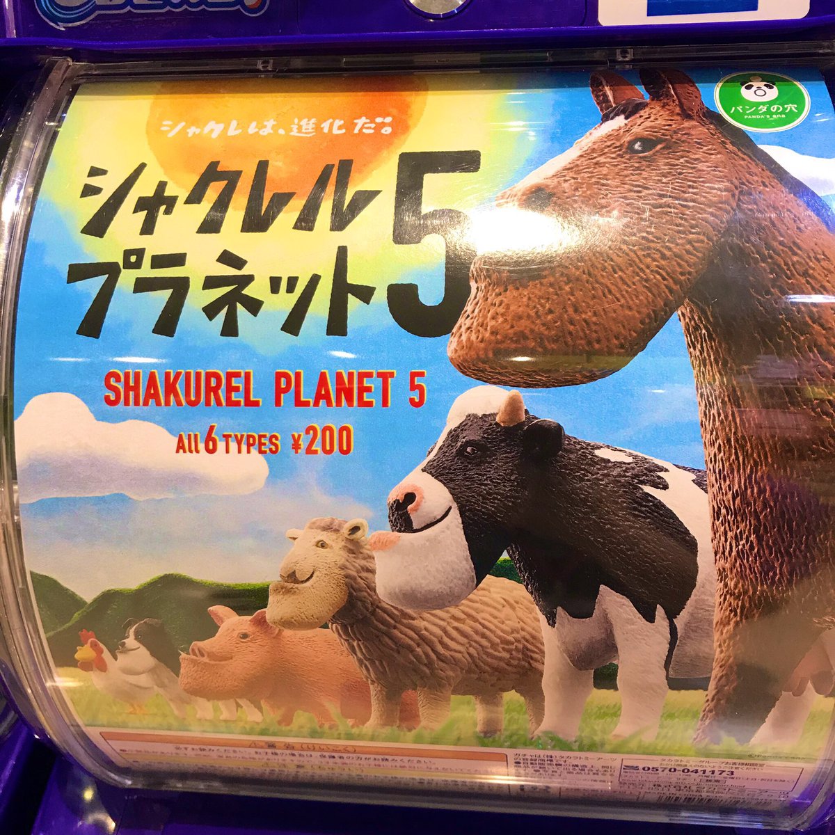 ヴィレッジヴァンガードセレオ国分寺 シャクレル新作来たゾー 今回はほのぼの系 シャクレルプラネット5入荷です しゃくれてることによってよりほのぼのして見えるので癒されたい人は買うべし ずっと見てようね シャクレルプラネット
