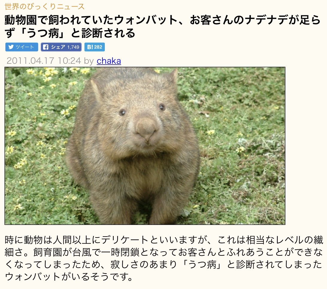 まめこちゃん フッキーさんのアイコンがウォンバットに見えてホワッ てなった まめこちゃん フッキーさんのアイコンがウォンバットに見えてホワッ てなった
