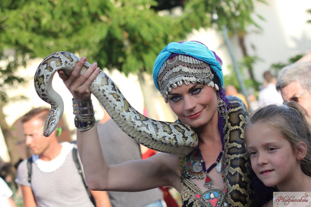 plaetjesmakers's tweet photo. Kamelen, slangen, buikdanseressen en een overactieve Kwakzalver als marktkoopman, je komt ze allemaal tegen op het Fata Morganaplein. #Efteling #NPF15 https://t.co/wymwPyQQMJ