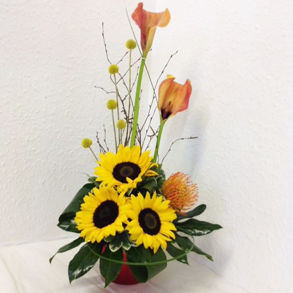 Katherines Florists tweet media