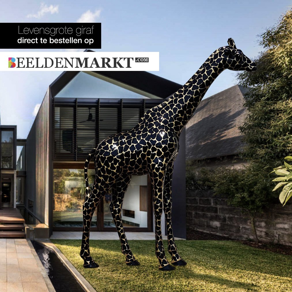 Dat de temperaturen 🌡 niet onder doen voor de savanne wisten we. Maar dat er nu al giraffen 🦒 worden gespot is wel heel bijzonder te noemen.
beeldenmarkt.com/levensgrote-gi…