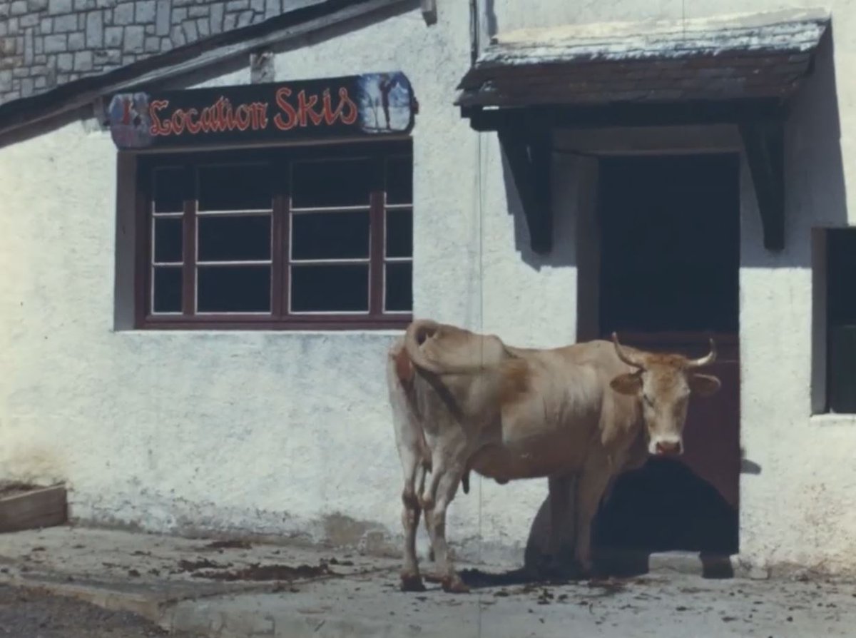 Trouver porte close : un classique du 15 août

1954 – Film 16mm – Fonds Laplante