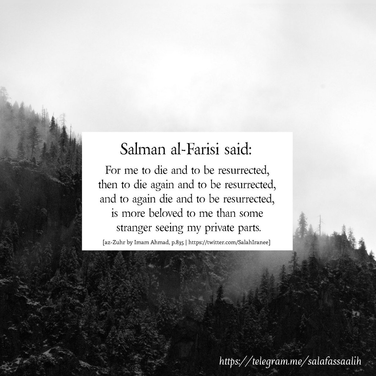 naima al bolandiyah (@naimaleonard) on Twitter photo 