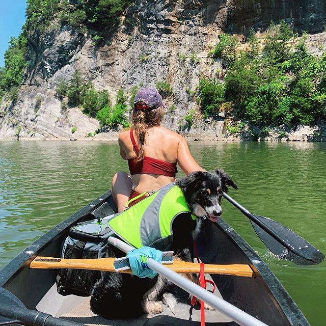 Cruisin’ the river with my #1 girl. Do I need to buy a canoe so <a href="/pipersocial/">Piper Hudson</a> &amp; I can make this happen more often? Probably. 🛶 / #ShenandoahRiver ift.tt/2ybW3jj