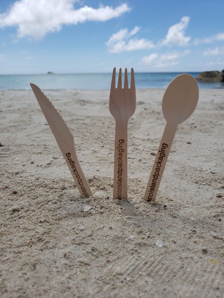 A day at the beach with our wooden cutlery made from FSC certified birch wood -not plastic. 
(FSC=The Forest Stewardship Council, sets standards for responsible forest management.) 
.
.
.
#plasticfreejuly #ecoislandpackaging