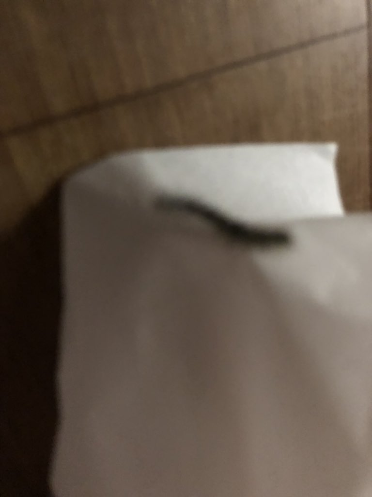 どさこ ヤネホソバってやつだった 対策しなきゃ どさこ ヤネホソバってやつだった 対策しなきゃ