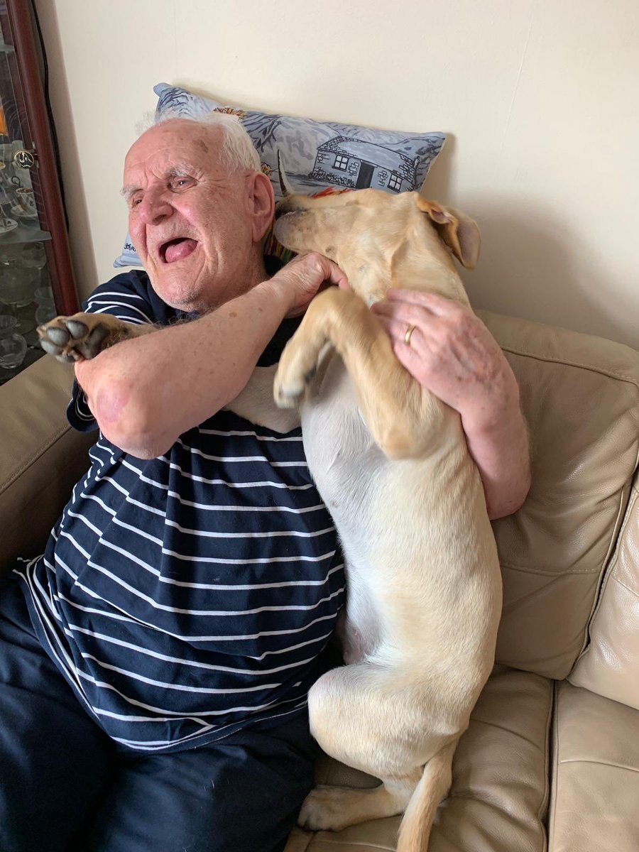 ewanhp's tweet photo. i’m crying. the joy on my papas face https://t.co/lnMdmgFC5L