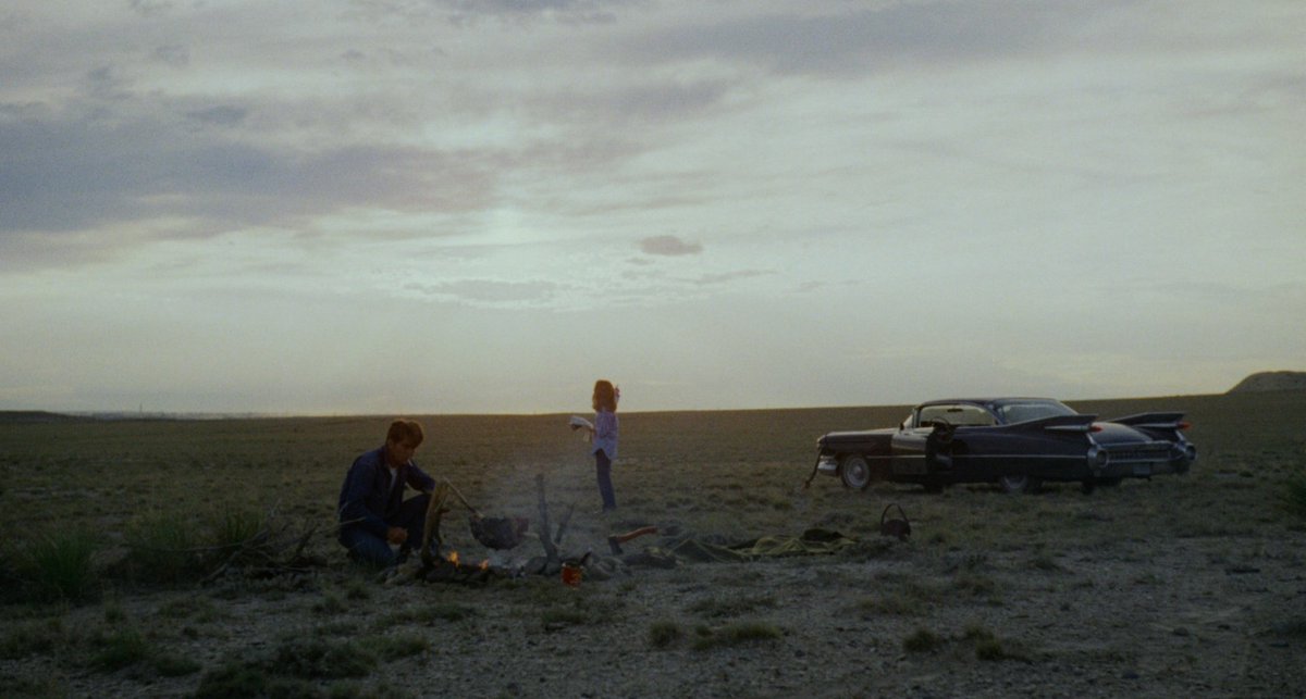 La Balade Sauvage - Terrence Malick (1973)