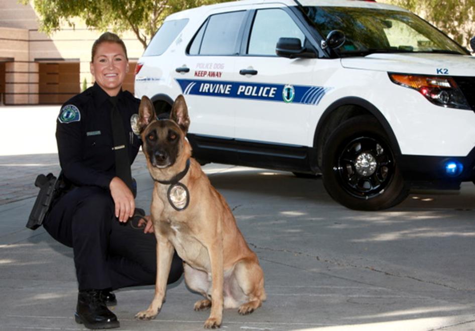 Fun Fact: After our K9s retire, their handlers get first priority to adopt them for $1.

Meet K9s Kenny and Barrett at National Night Out on Tuesday, Aug. 6. Visit irvinepd.org for more info.
