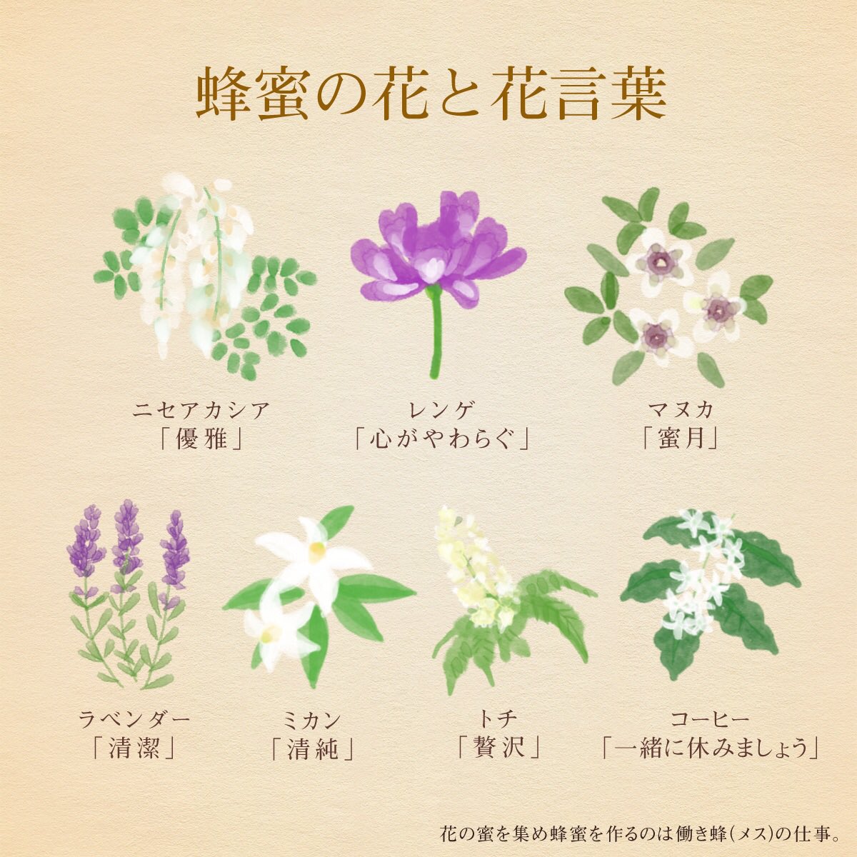 はな言葉 新刊出ました على تويتر きょう8月3日は ハチミツの日 蜂蜜の花と花言葉