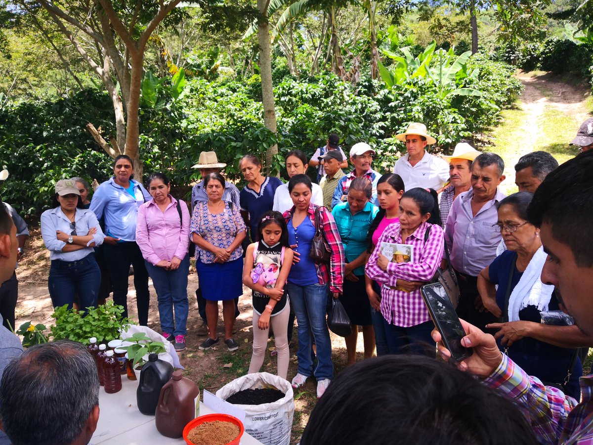 TaboraWaleska's tweet photo. Gracias a la organización UTZ/Rainforest y neumann por apoyar amucafe donde tuvimos un día de campo Cón socias de alianza de mujeres en café de Honduras y ampliar conocimientos sobre cambio climático y conocer sobre la fertilización orgánica. https://t.co/OO4KZcLKLv
