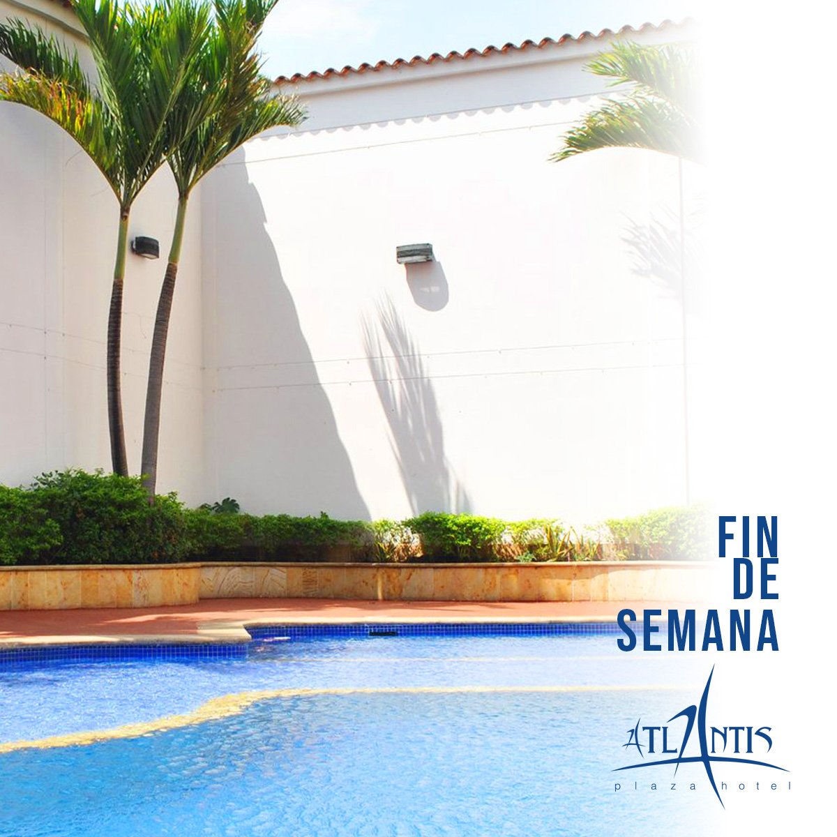 HotelAtlantisCu's tweet photo. Pregunta por nuestros planes:

- Día de sol (piscina, sauna, turco a un valor único y  consumible)
- Fin de semana (estadía para 2 personas, cena/almuerzo, desayuno y todos los privilegios de nuestro hotel)

Información:
Fijo: (7) 5719202
Whatsapp: https://t.co/VFA8mRkaML #Cúcuta https://t.co/8kuuPmRVjc