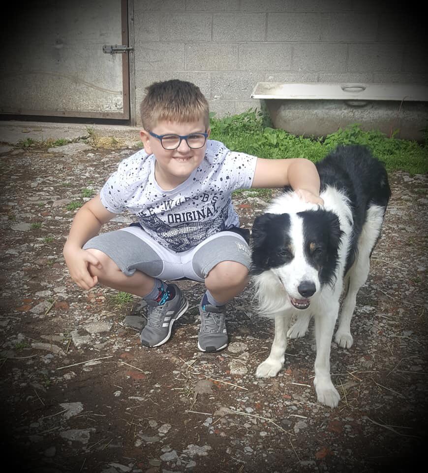 BringAlfieHome's tweet photo. BringAlfieHome Alfie Is Home https://t.co/yiXUpD5da3