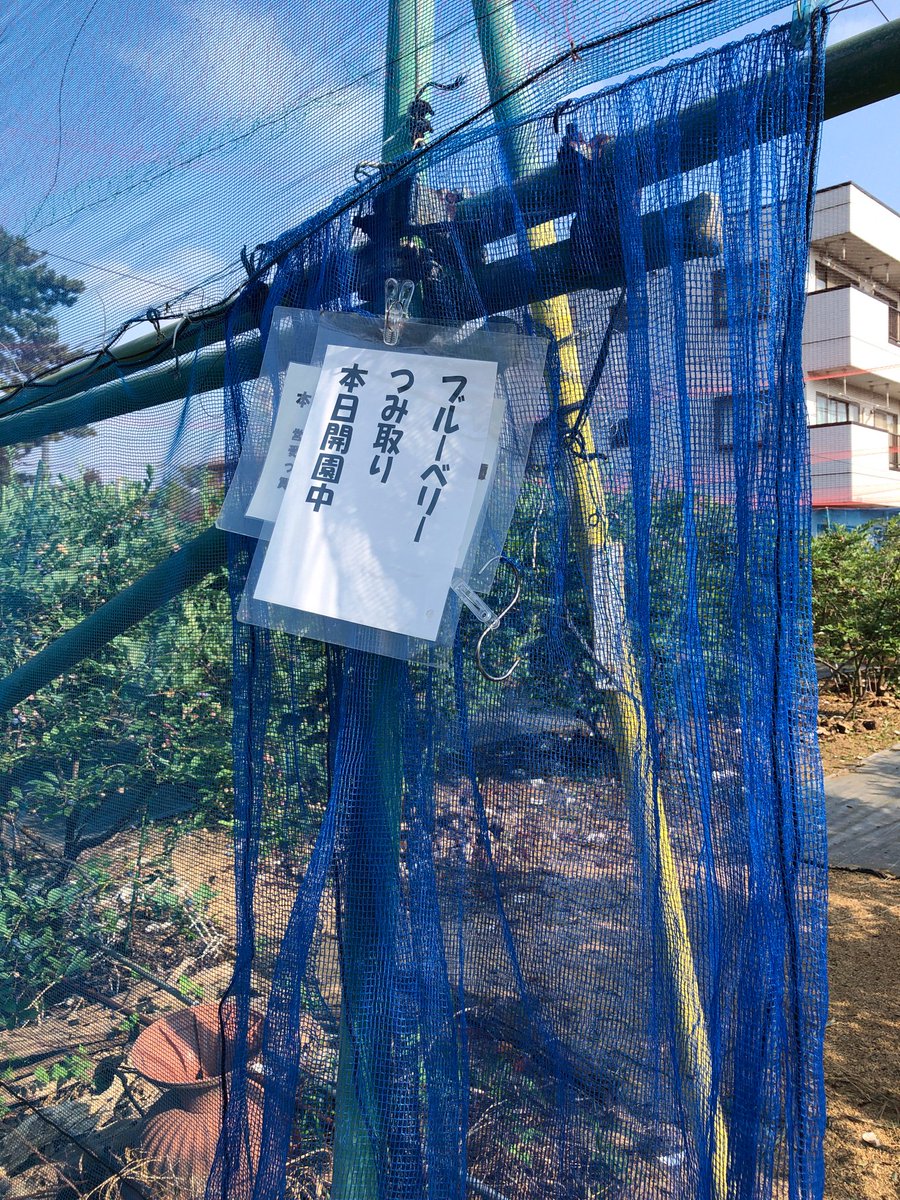 ベルマッシュ Bmb Fuchu Twitter