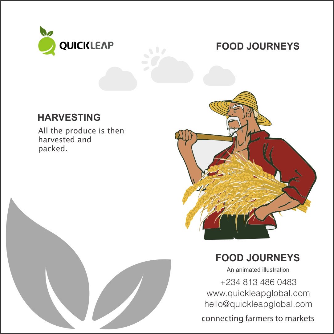 #TGIF 

bit.ly/2MFaqoV

Do follow the link to read all about #foodjourneys

Food Journeys!

Have a fantastic weekend! Cheers! 

#Accesstomarkets #market #markets #smallholder #Agriculture #agric #Quickleap #farmers #farms #agtech #farm #Nigeria #Building