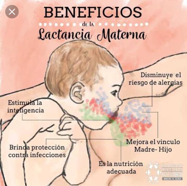 BiberonesPodee's tweet photo. En Podee nos unimos a la Semana Mundial de la Lactancia.
¡Dale pecho. Dale Vida!
#lactanciasi #podee #semanamundialdelalactancia #soymamapodee https://t.co/8tna2cyZ7x
