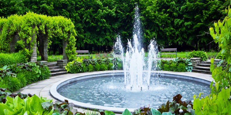 Water features sound soothing and are relaxing to look at, but they need a little maintenance on your behalf. Find out what you can do to get the most out of your water feature in our new blog post. bit.ly/31agZDH