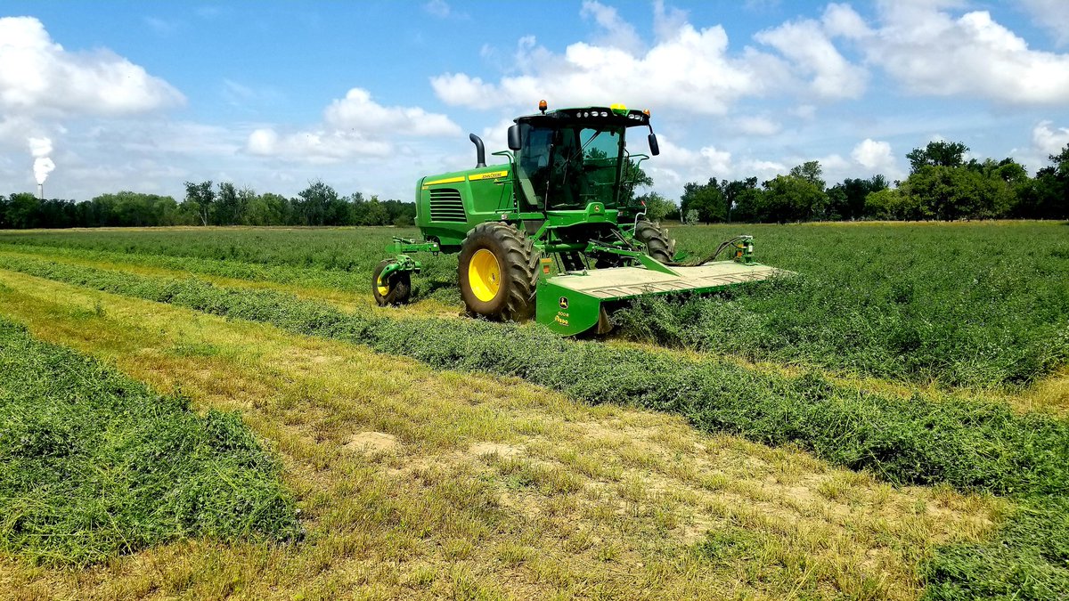 DanEsling's tweet photo. Great demo day with the #JohnDeere #W235 and #500R head.  Knocking down some flood irrigated alfalfa second cutting in Central #NorthDakota A couple of very impressed customers. #rdoequipment #hay19 #cowchow https://t.co/Kyejnq68lB