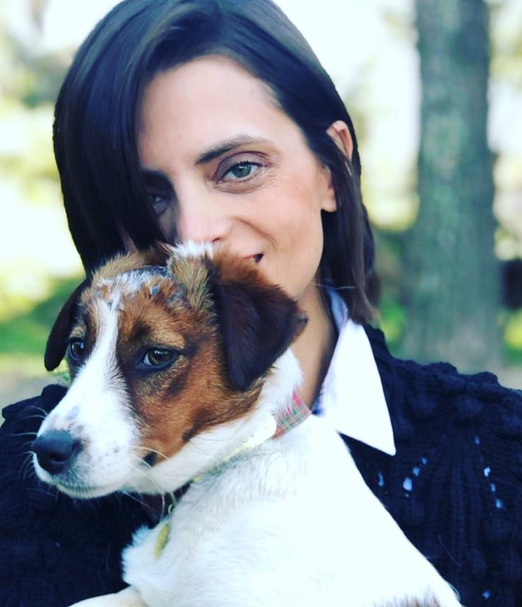 Mi Perra Costra se ha perdido ( tiene una costra en la cabeza) Zona del alto ampurdá: la Jonquera, cabañas, Capmany, San Climent, por favor si alguien la ve llamen al +34 681 045 018( no es mi tlf)