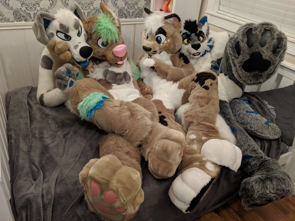 TigerSquat's tweet photo. These four are on your bed. What do you do? #FursuitFriday

🐾 - @saltmutt @Peche_Eh @FurryGrammar
📷 - @Diggyroo https://t.co/gPNg1UoKRX