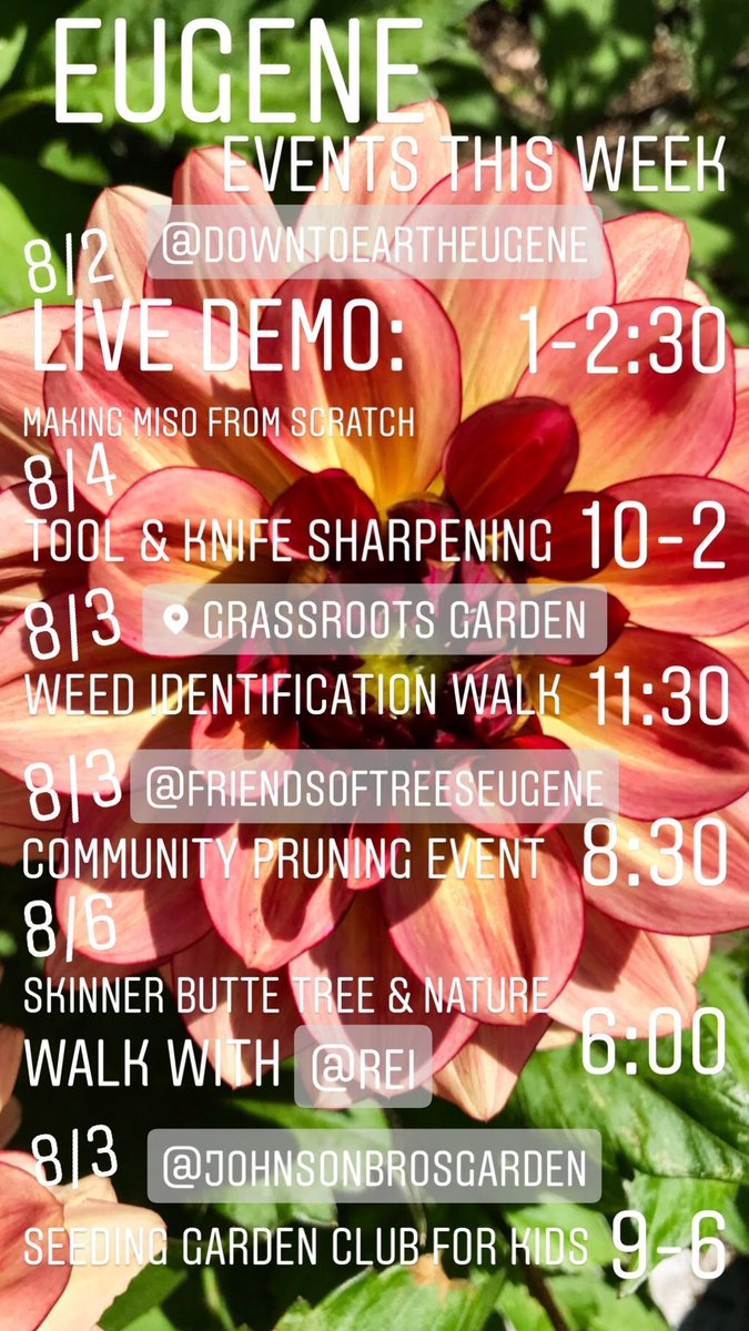 RexiusLandscape's tweet image. This weeks green happenings