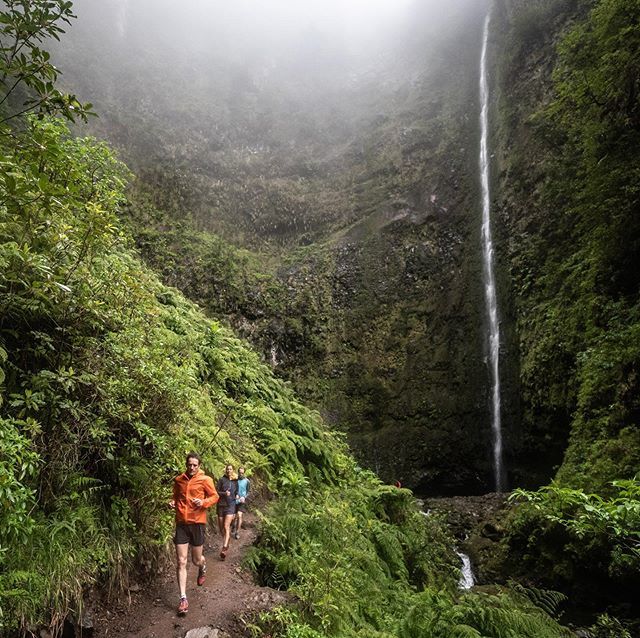 David Gonthier tweet media