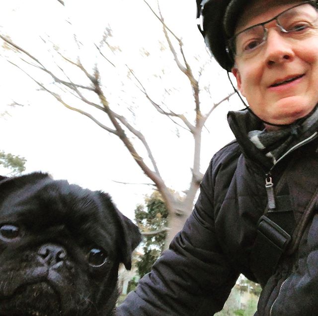 A bit tricky to get a shot on the bike.

#GeorginaLivesLarge
.
.
.
.
#pugonabike #blackpugpuppy #blackpug #pugpuppy #pugsofinstagram #pugstagram #pug #puglife #pugphotography #petphotography #petphotographer #pugsofmelbourne #pugsofaustralia #pugphotography #melbourne_insta #melb