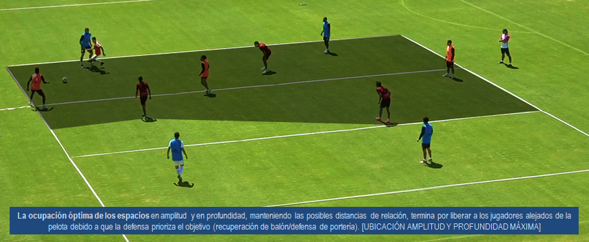 FutbolTactic's tweet photo. Tras el tweet de @natarroyo hubo un debate muy interesante sobre los "espacios indefendibles" y mi pregunta es: ¿Cómo generar esas ventajas?

He ido a buscar el ejercicio más representativo del juego de posición y he encontrado algunos elementos relevantes, adjunto capturas. https://t.co/zmHwQ6MrkH