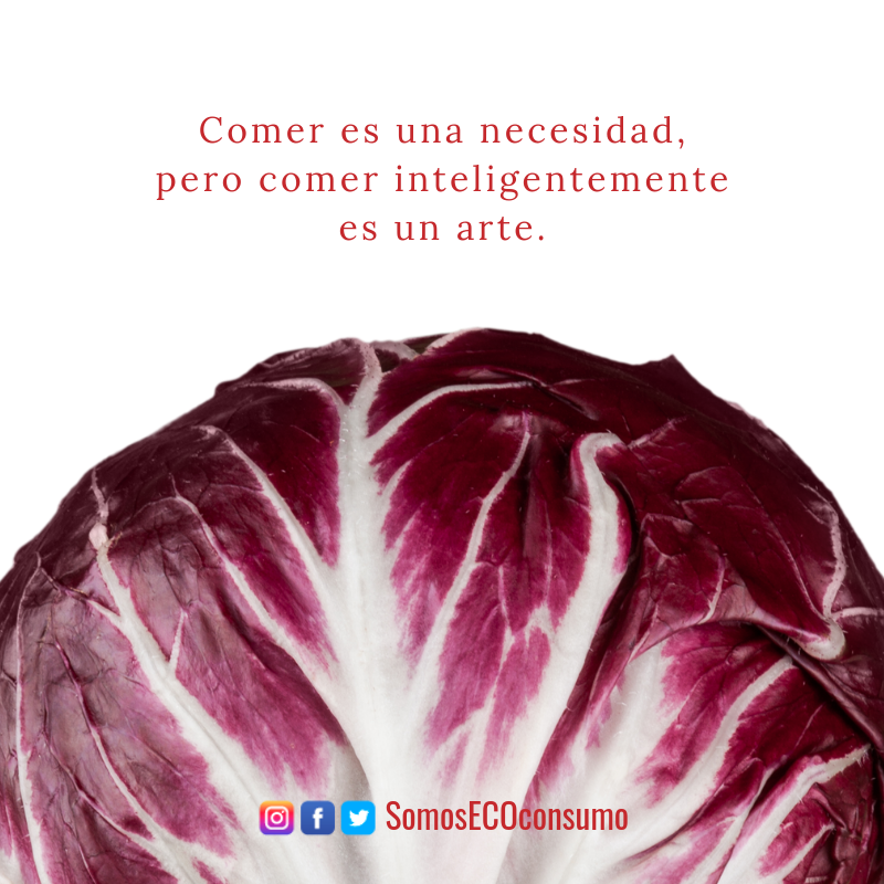 SomosEcoConsumo (@eco_consumo) / Posts / X