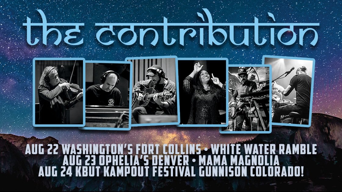 The Contribution tweet media