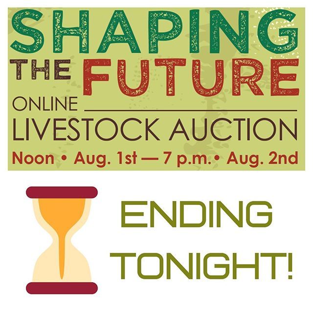 AR_Extension's tweet photo. The online auction ends tonight! You have until 7 p.m. to get your bids in at https://t.co/SFlVcSOMw8! #auction #livestock #bidtowin #cattle #swine #goats #showanimals #4h #fundraiser #support4h #4hlivestock https://t.co/Vaxcsw5dft https://t.co/bLPG8I1P1n