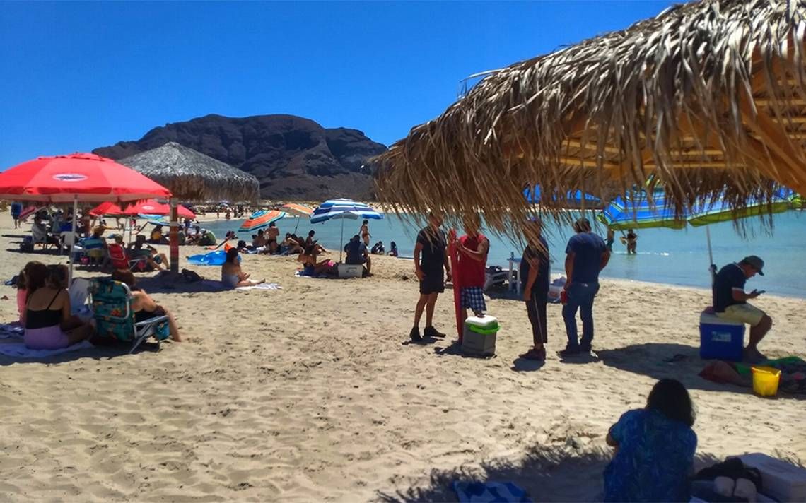 ElSudcalif's tweet photo. #CUIDADO #LaPazBCS |  Reportan a #Balandra con altos niveles de enterococos; no es apta para uso recreativo ► https://t.co/MPZTR6I0in https://t.co/5y4jbtQNdZ