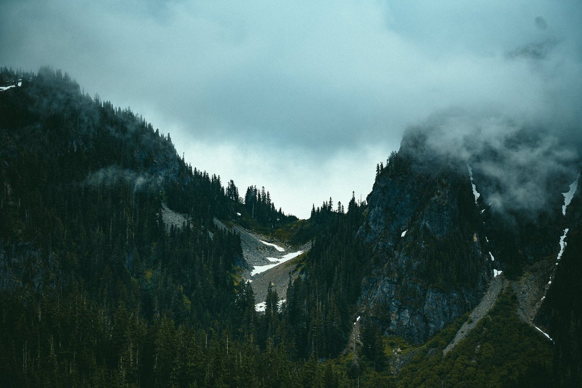 Ryan McKinnon (@rjmckinnon) on Twitter photo 