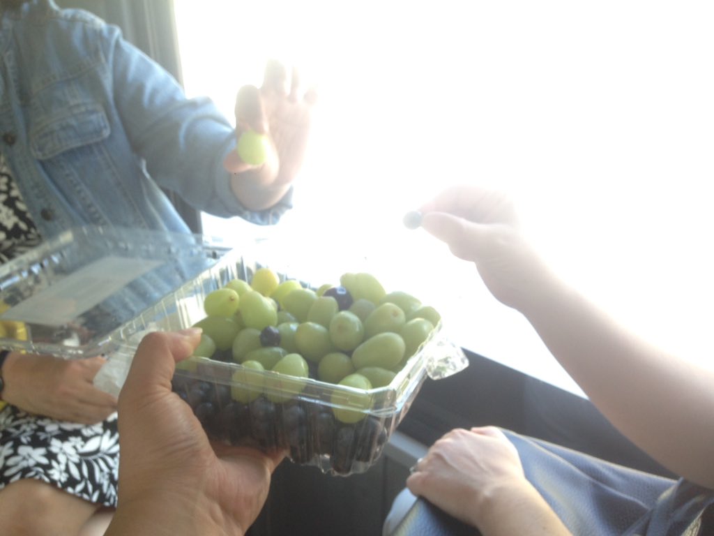 263_team's tweet photo. We like these seats that face each other! Perfect for sharing home time fruit snacks 🍇 🍒 #OCTranspo #Team263 https://t.co/X6Vuy5kEdP