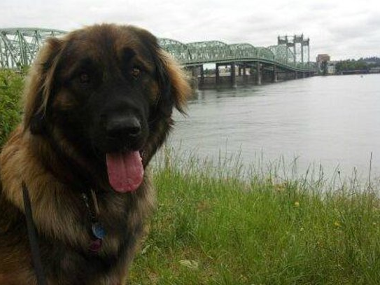 RedLion JantzenBeach tweet media