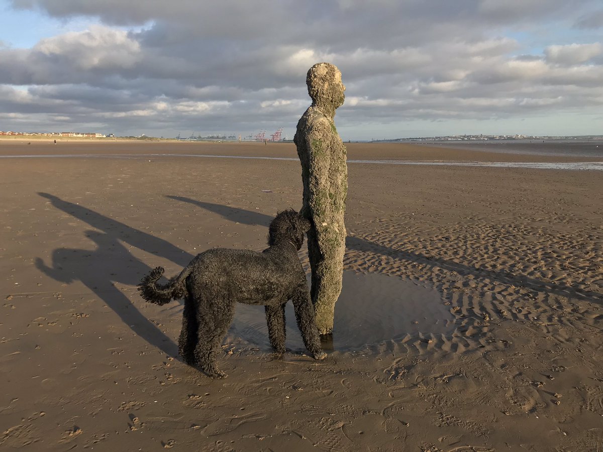 Unwinding after some mobile beauty work with a brisk stroll at Crosby Beach tonight! 
<a href="/whhorthoot/">WHH Orthopaedic OT</a> #AHPsActive #ActiveOT #teamortho #WeActiveChallenge