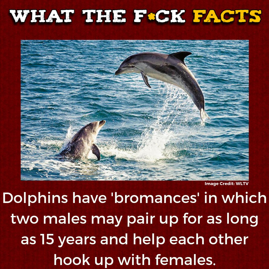 WhatTheFFacts's tweet photo. https://t.co/WLKaHwGjm4