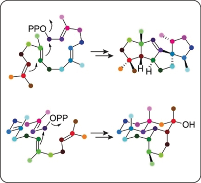 angew_chem's tweet photo. Recent developments in the biosynthesis of diterpenes by diterpene #synthases in bacteria is reviewed by JeroenS. Dickshat (@uniBonn), with an emphasis on the #ReactionMechanisms https://t.co/auSdR8rGla https://t.co/8H7mtlfXSY