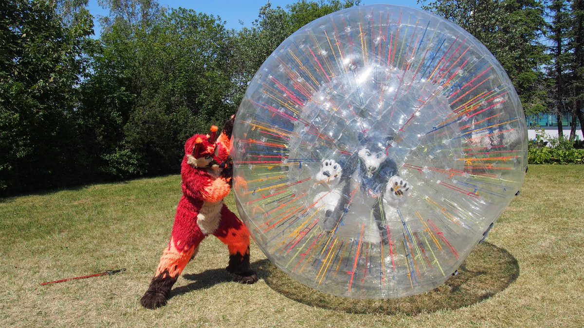 FervoryFire's tweet photo. Rolling around @SkeppoBalloon  during the #east9.
Was a lot of fun with all of you. See you next time.
Zorbball and picture by Crit. @Crit_1.
#FursuitFriday #east https://t.co/DlGbz6Afp0