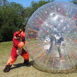 Photo by Fervory (@FervoryFire)