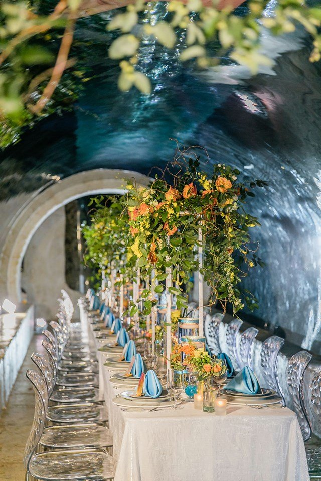 Daryl's By Design on Twitter "Rehearsal Dinner in the Shark Tunnel of