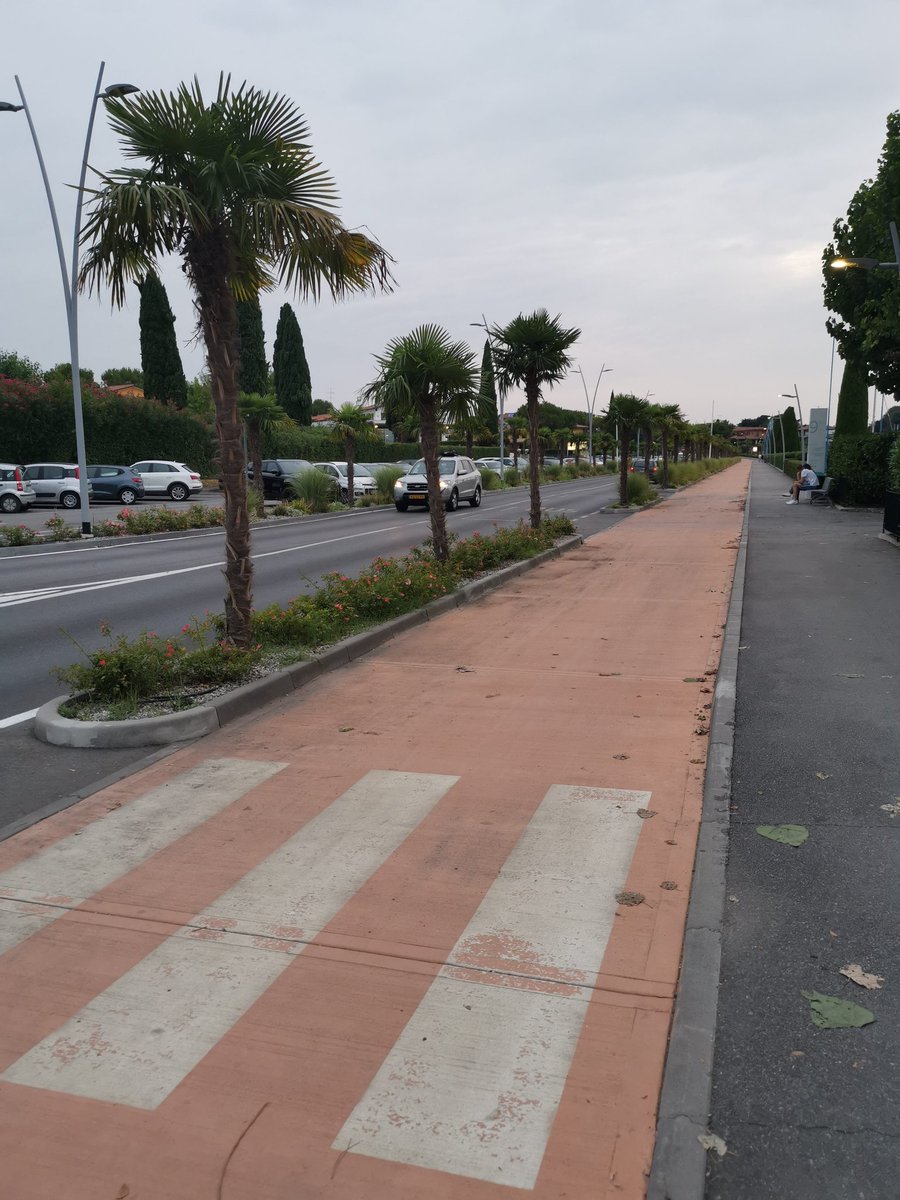 JonLeMoine's tweet photo. Refreshing to see well established segregated cycle infrastructure in many areas in Italy. Would be great to have more of the same here @LeedsCyclists https://t.co/bCwDOrdhhX