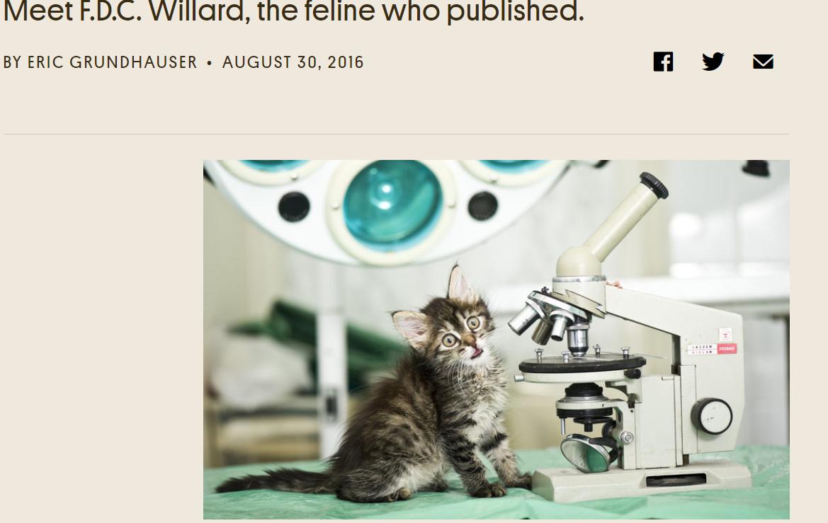 Alessia_metrics's tweet photo. The Art of Chosing a Good Co-Author ;-)
#cats #cat #catsinresearch #CatsOfTwitter #researchers #research #AcademicChatter #academictwitter #econtwitter
https://t.co/D2XYyRMpm7 https://t.co/rY4bMgLa9t
